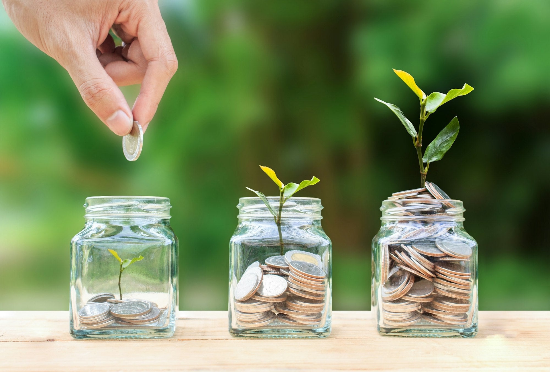 Three jars sit on a wood table outside. Each jar has quarters and plants in it, an increase from left to right.