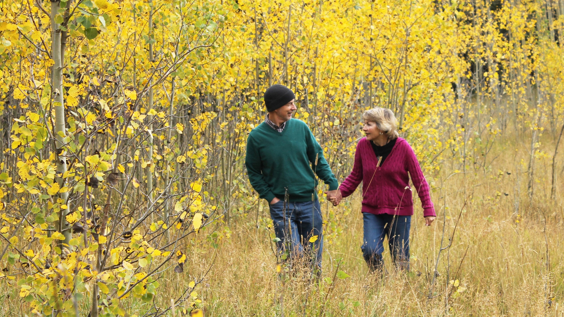 A man and a woman walk hand in hand through a field of tall grass and yellow-leaved aspens.